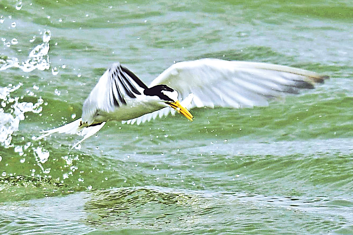 ছবি: লেখক