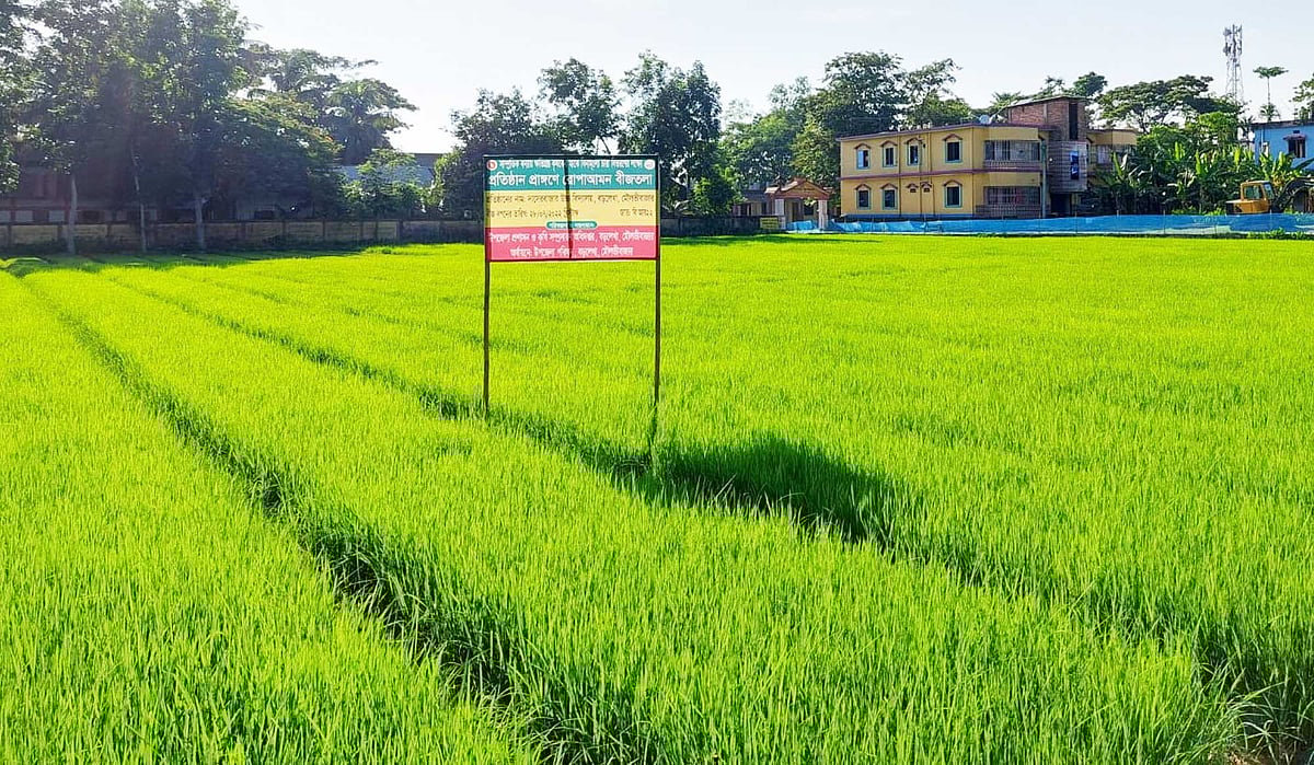 ছবি: প্রথম আলো