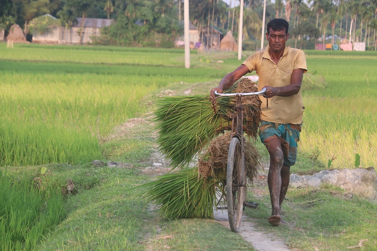 ছবি: মঈনুল ইসলাম