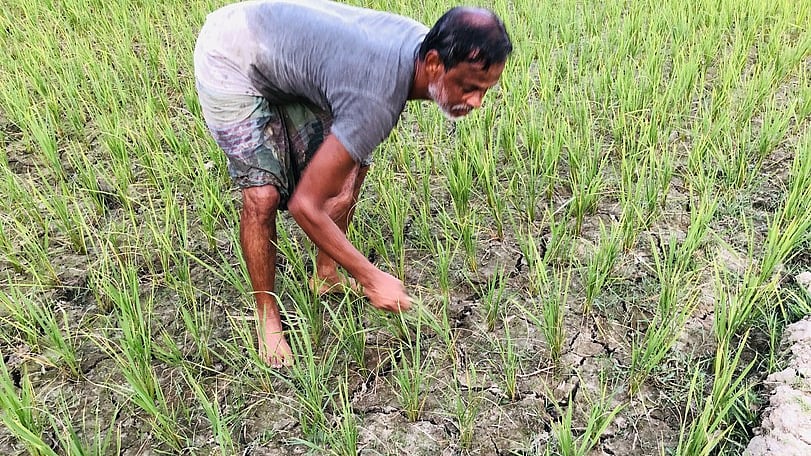 ছবি: প্রথম আলো
