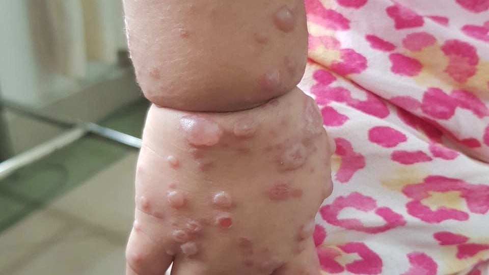 ছবি: প্রথম আলো