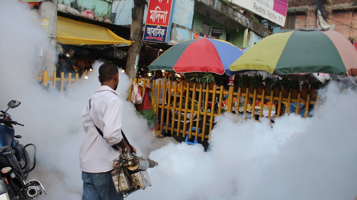 ফাইল ছবি 