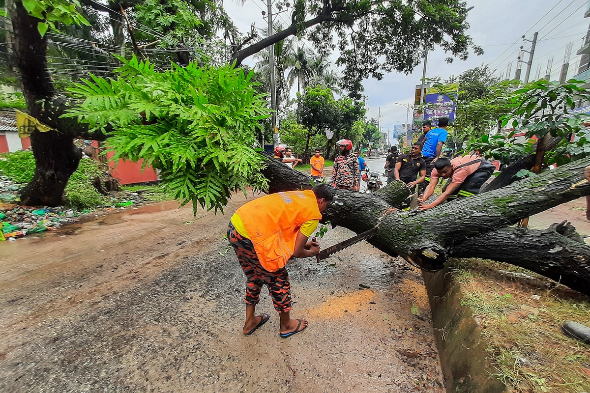 মাটি সরে উপড়ে পড়েছে গাছ। সে গাছ সরিয়ে নিতে কাজ করছেন ফায়ার সার্ভিসের কর্মীরা। বয়রা, ১৫ সেপ্টেম্বর