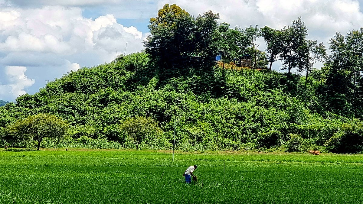 ছবি: প্রথম আলো