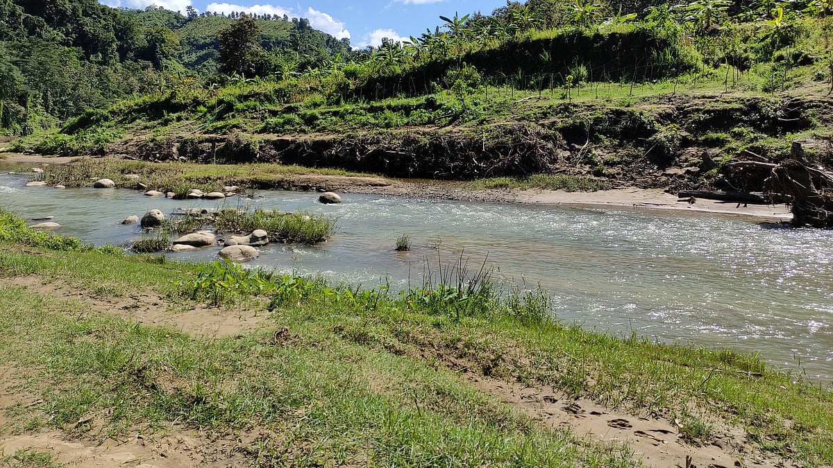 ছবি : লেখকের সৌজন্যে