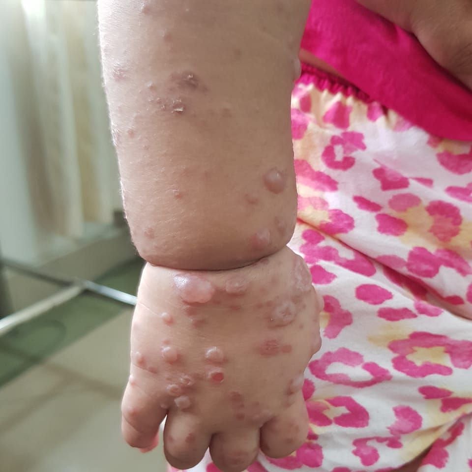 ছবি: প্রথম আলো