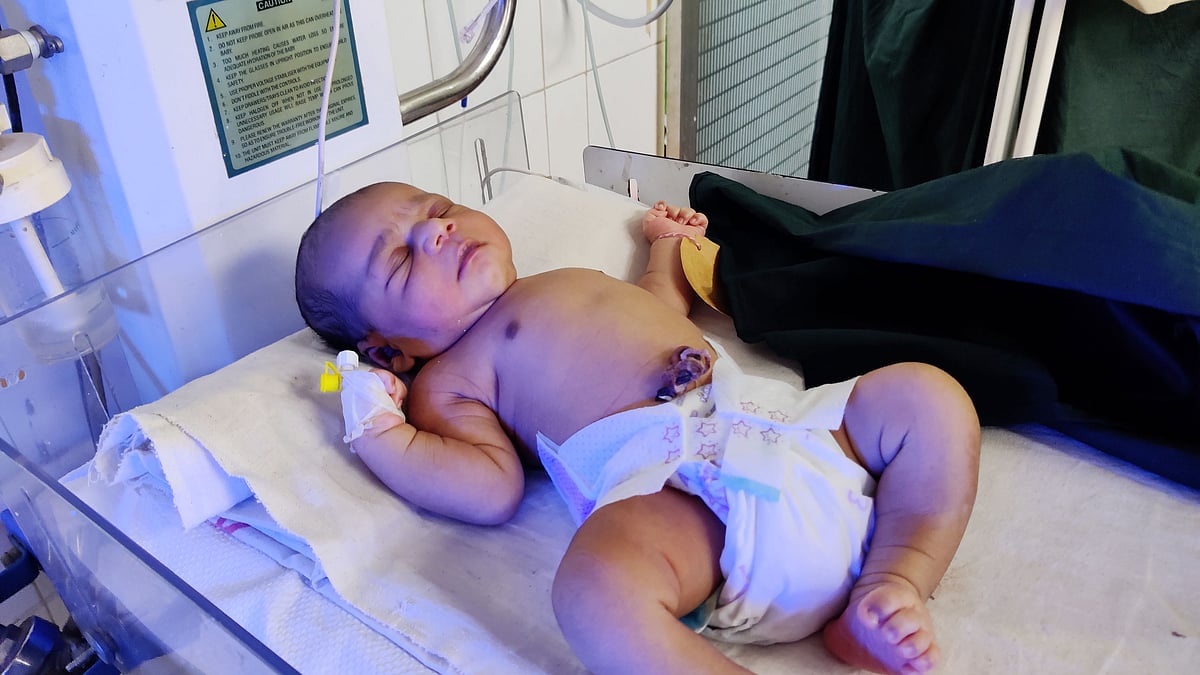 ছবি: প্রথম আলো