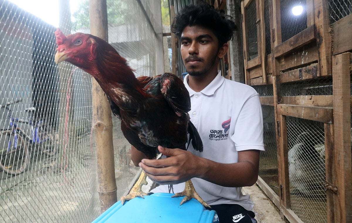 ছবি: সোয়েল রানা