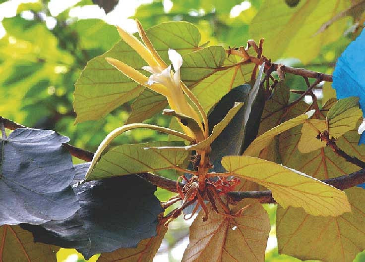 ছবি: মোকারম হোসেন