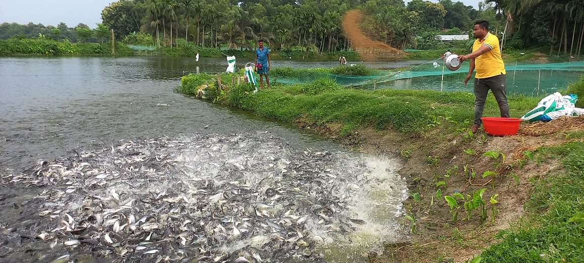 ছবি: প্রথম আলম