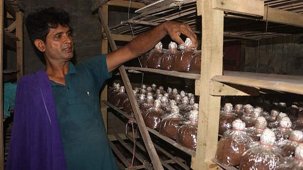   ছবি: প্রথম আলো
