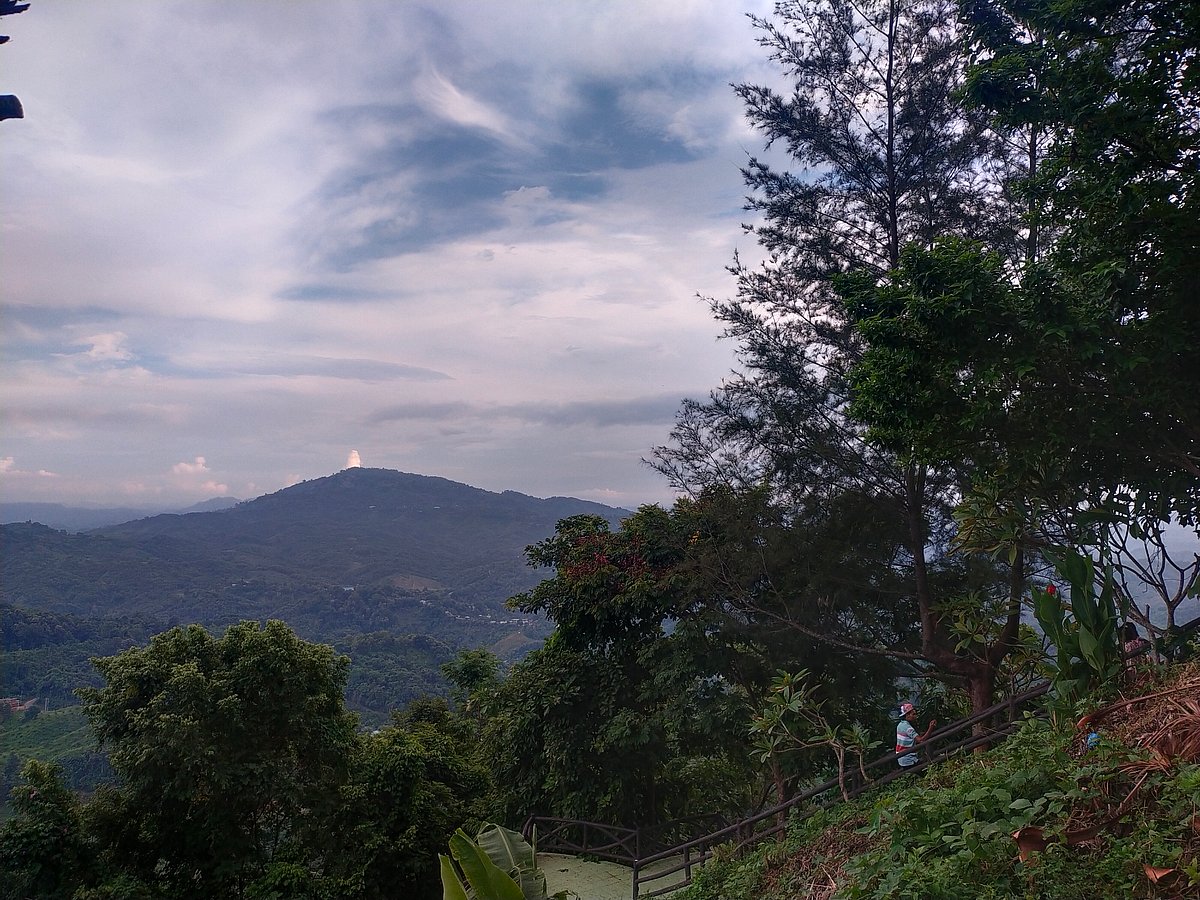 ছবি: প্রথম আলো