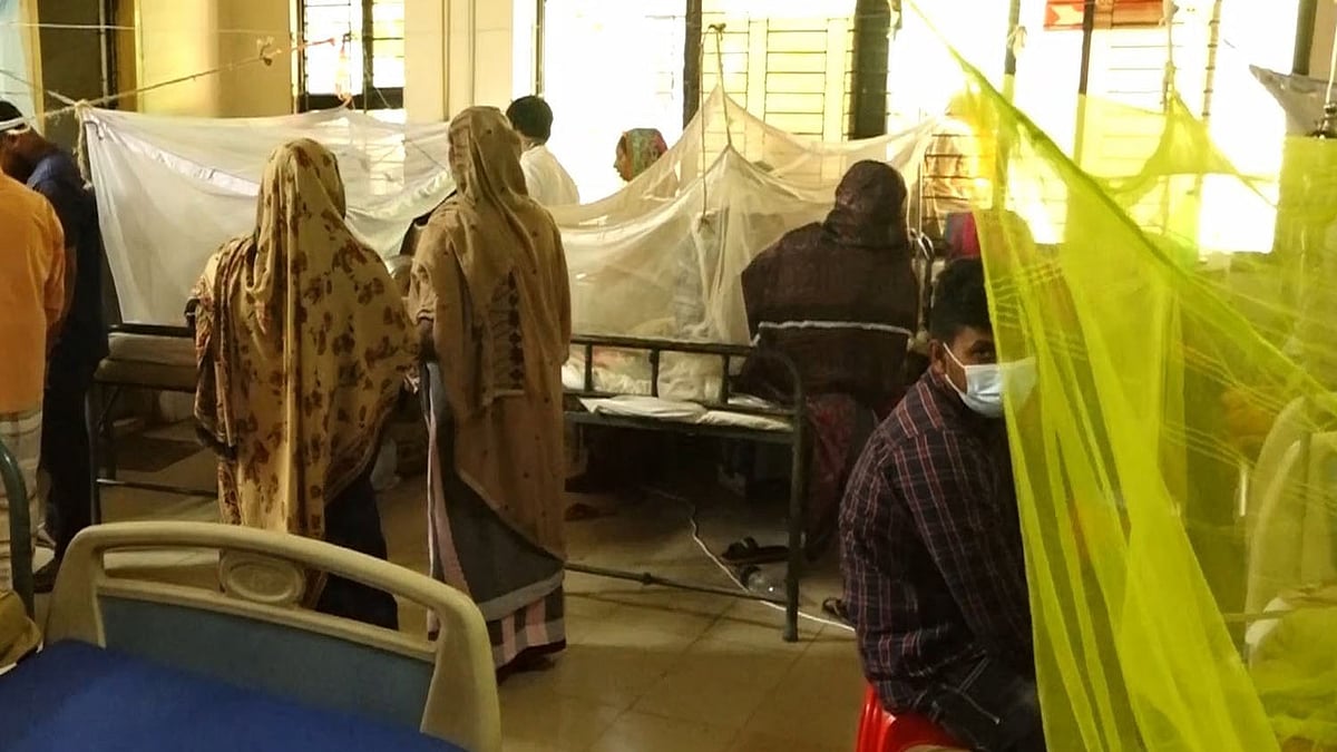 ফাইল ছবি: প্রথম আলো