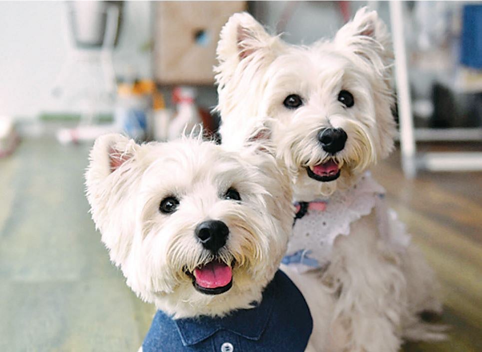 প্রতীকী ছবি: এএফপি