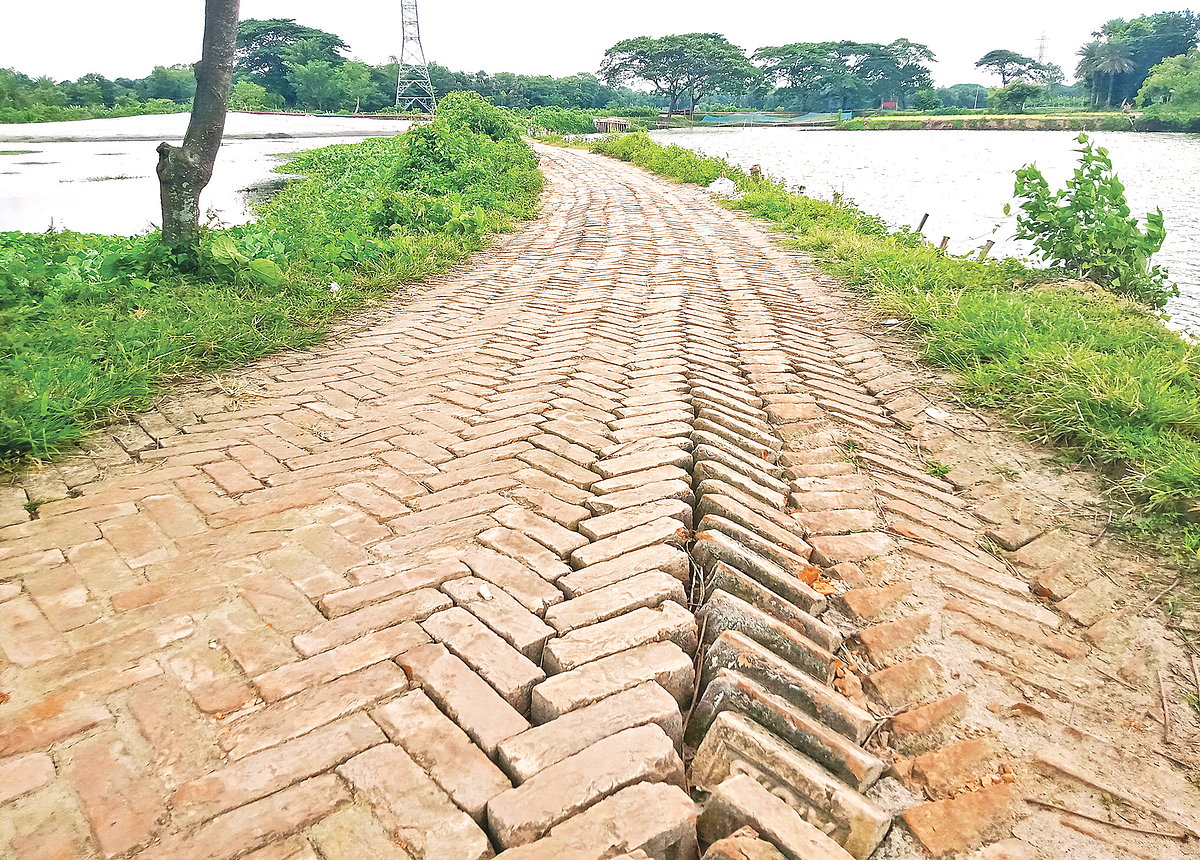 ছবি: প্রথম আলো