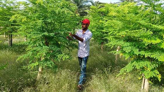  ছবি: প্রথম আলো
