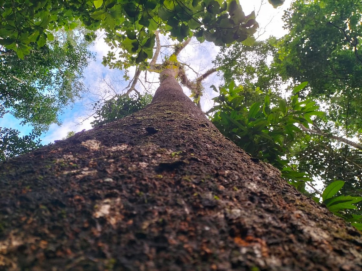 ছবি: শিমুল তরফদার