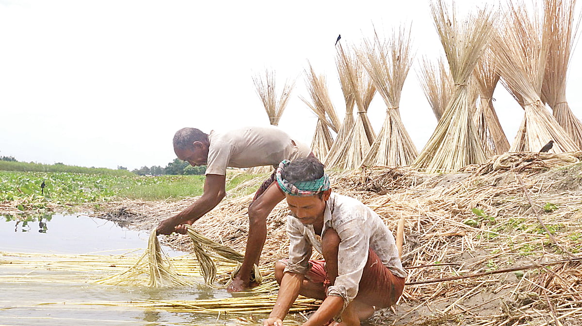 ছবি: প্রথম আলো