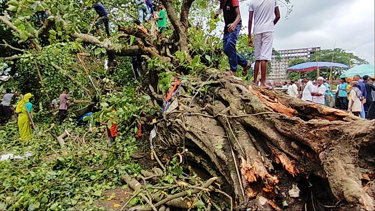 ছবি: প্রথম আলো