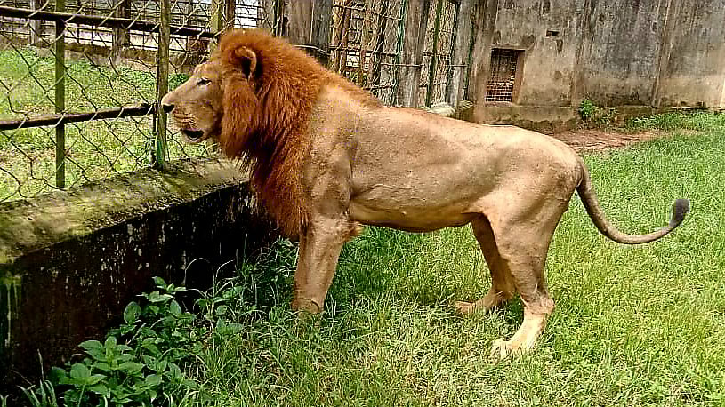 ছবি: প্রথম আলো