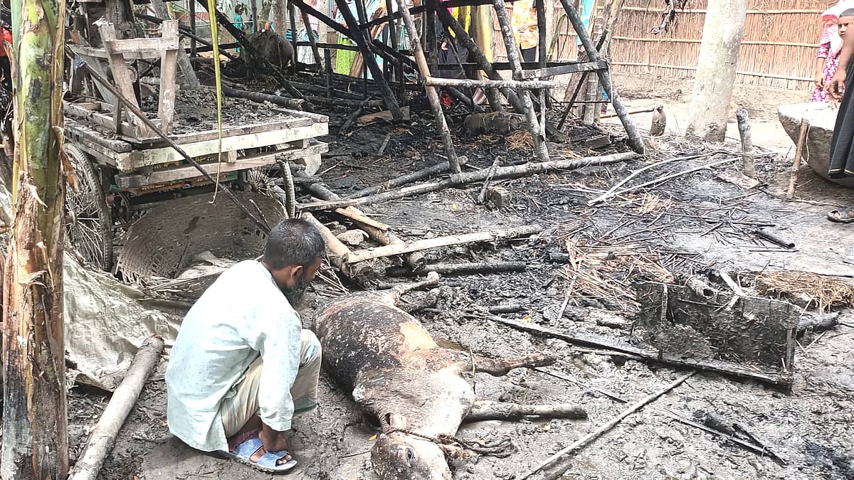 ছবি: প্রথম আলাে