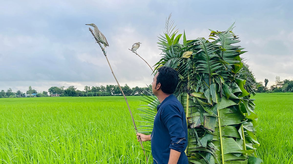 ছবি: প্রথম আলো