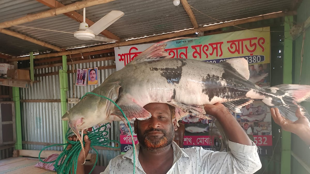 ছবি: প্রথম আলো