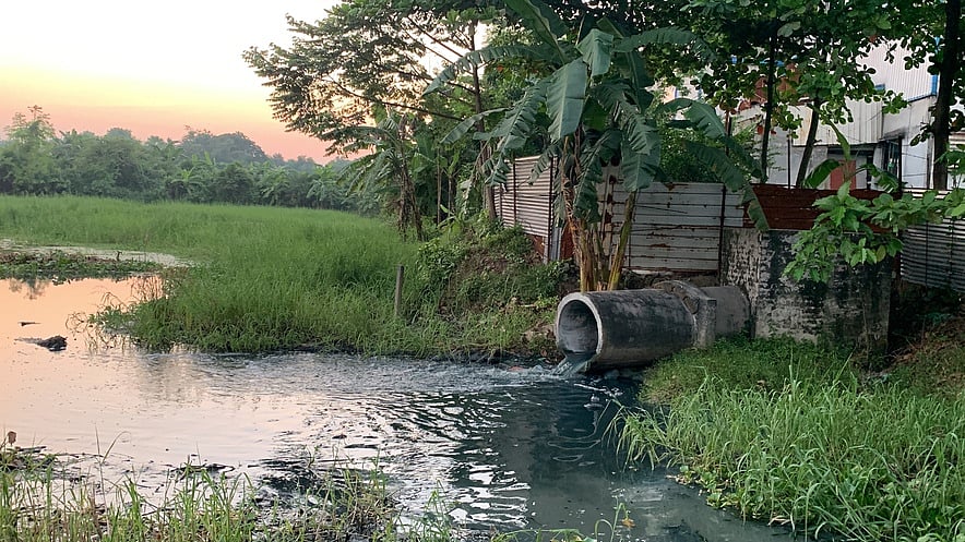   ছবি: প্রথম আলো