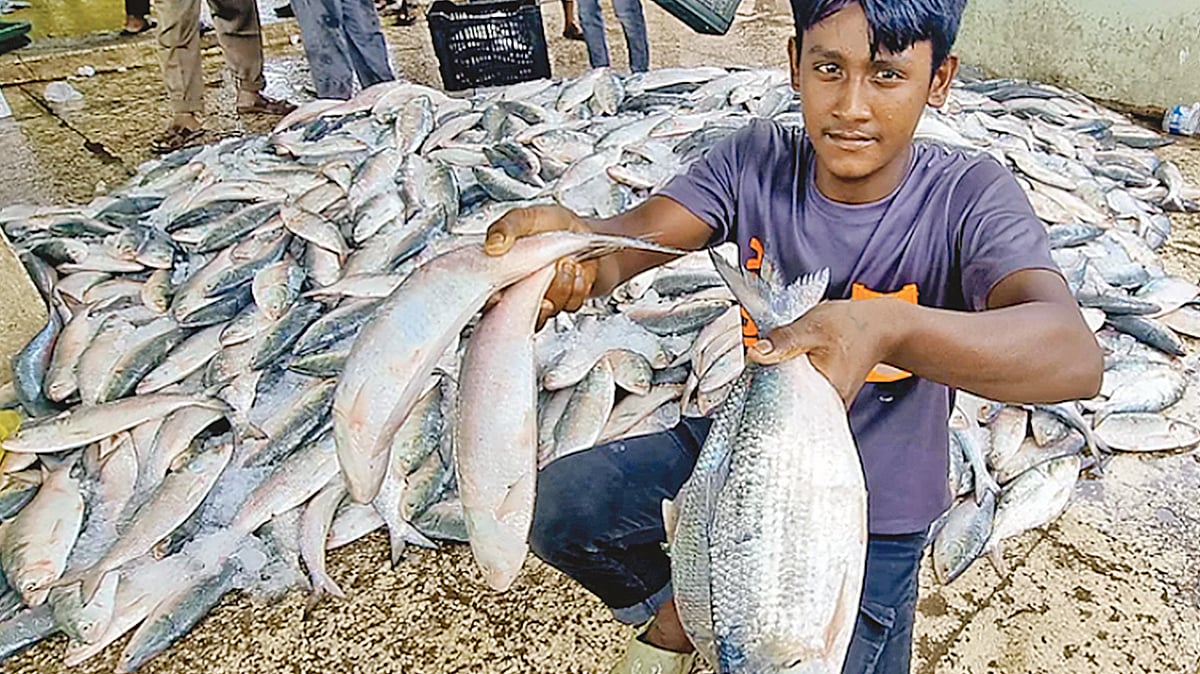 ফাইল ছবি