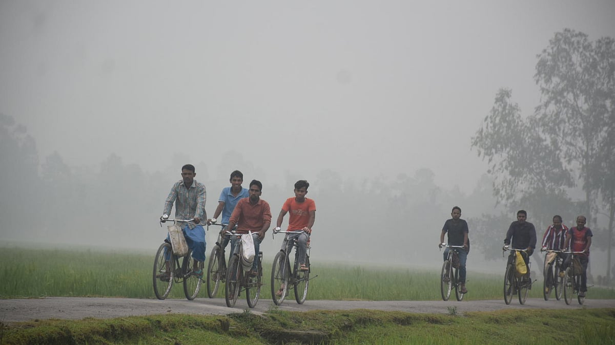 ফাইল ছবি