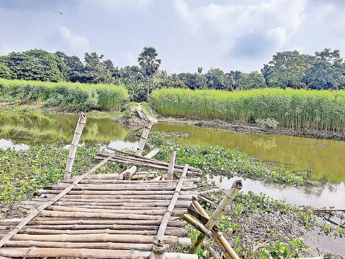 ছবি: প্রথম আলো