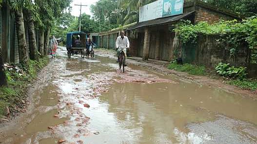 ছবি: প্রথম আলো    
