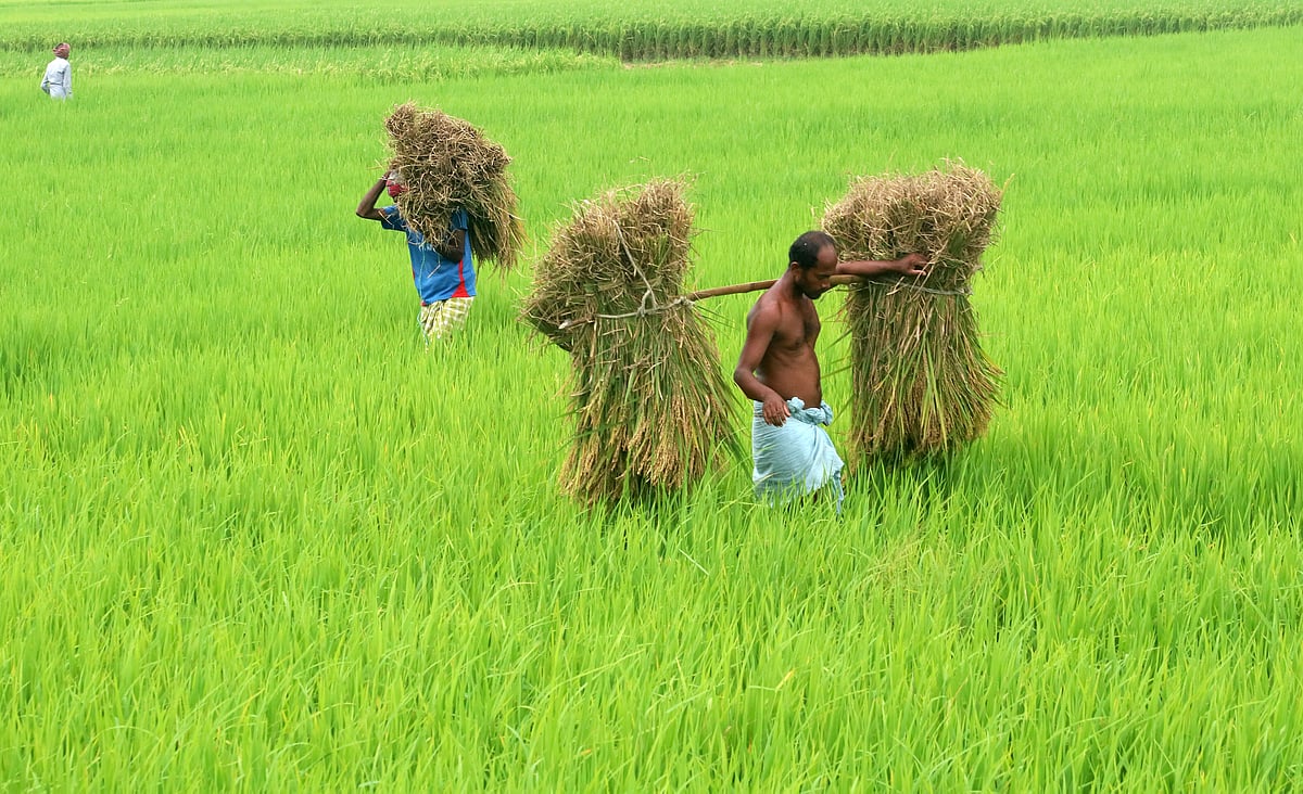 ছবি: সোয়েল রানা