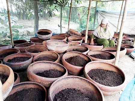 ছবি: প্রথম আলো