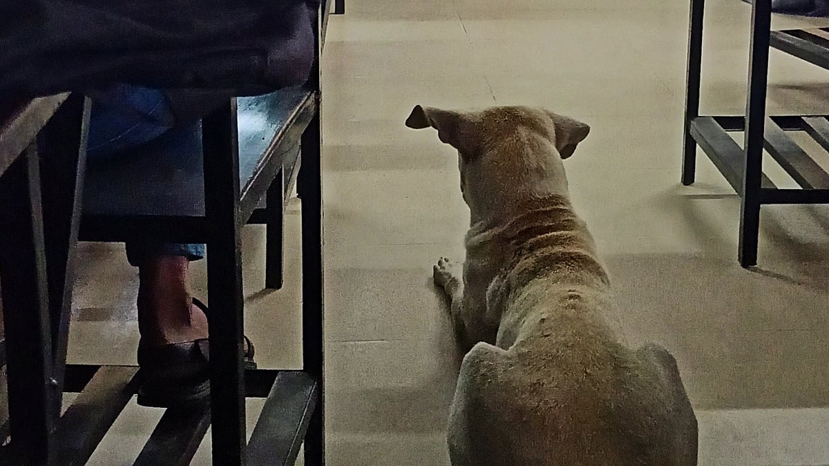 এই সেই ছবি