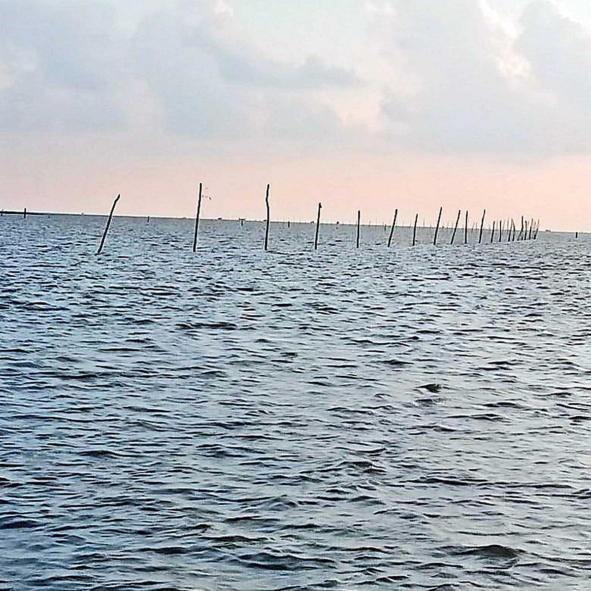 ছবি: প্রথম আলো 