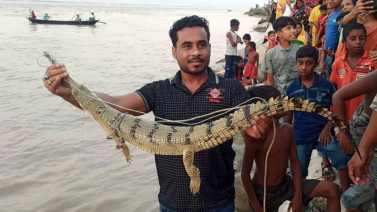 ছবি: প্রথম আলো