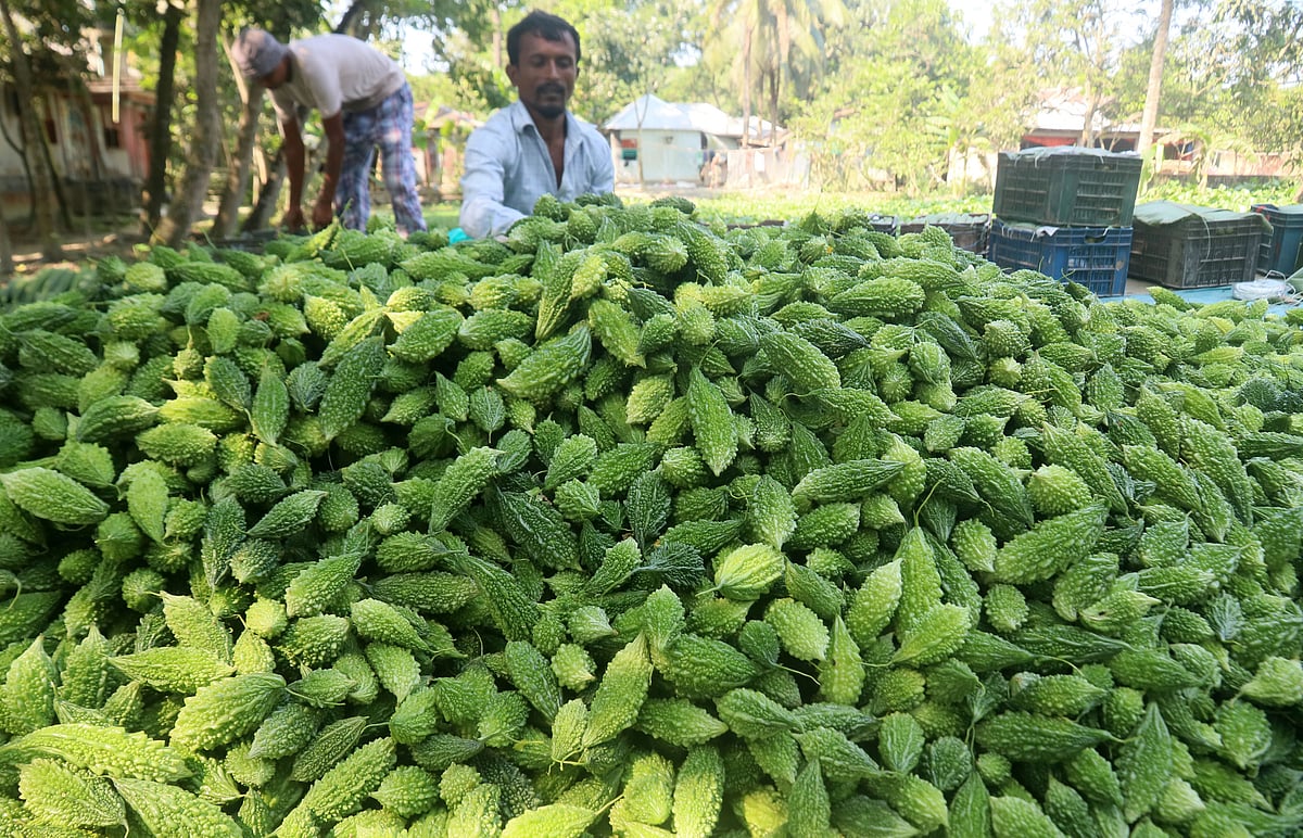 ছবি: সোয়েল রানা 