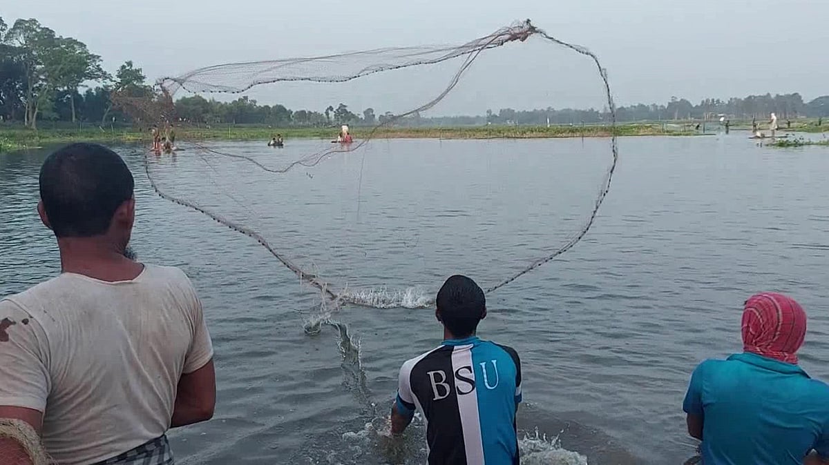 ছবি: প্রথম আলো