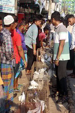 ছবি: প্রথম আলো