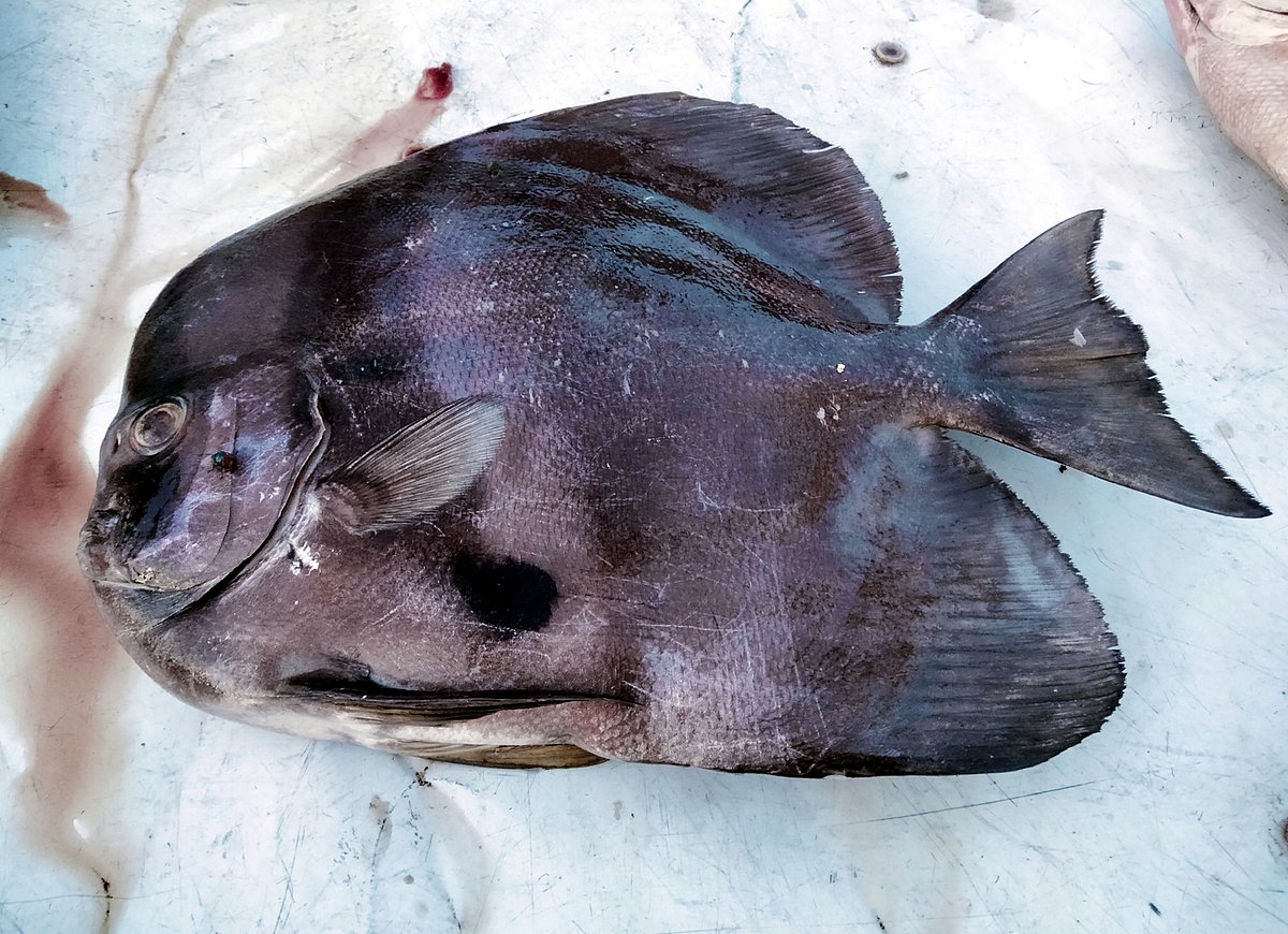 ছবি: প্রথম আলো