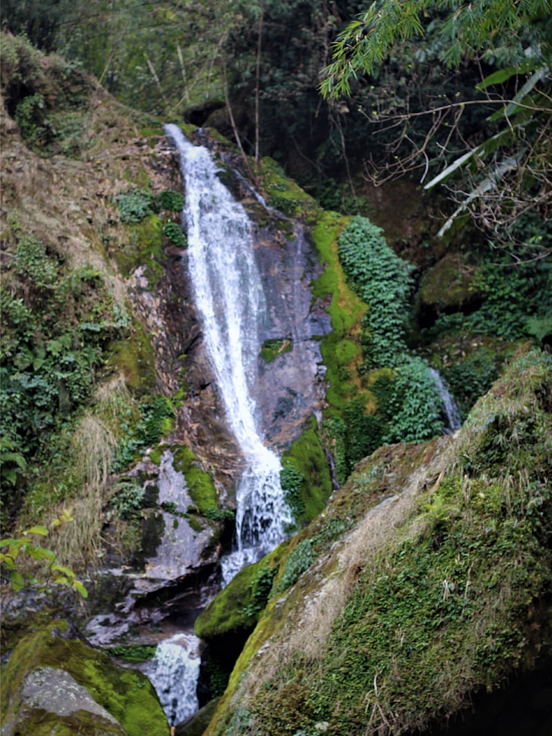 সিকিম সমগ্র