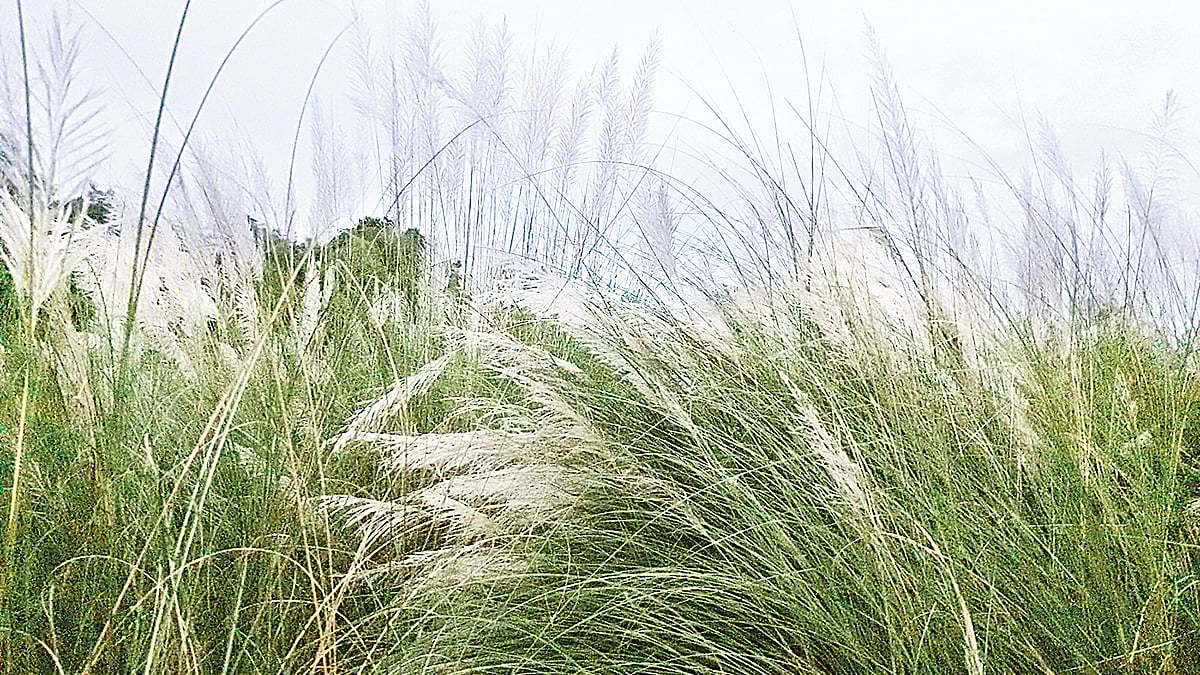 প্রথম আলো