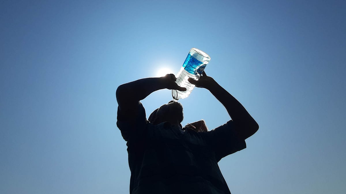 ফাইল ছবিটির আলোকচিত্রী: সাদ্দাম হোসেন