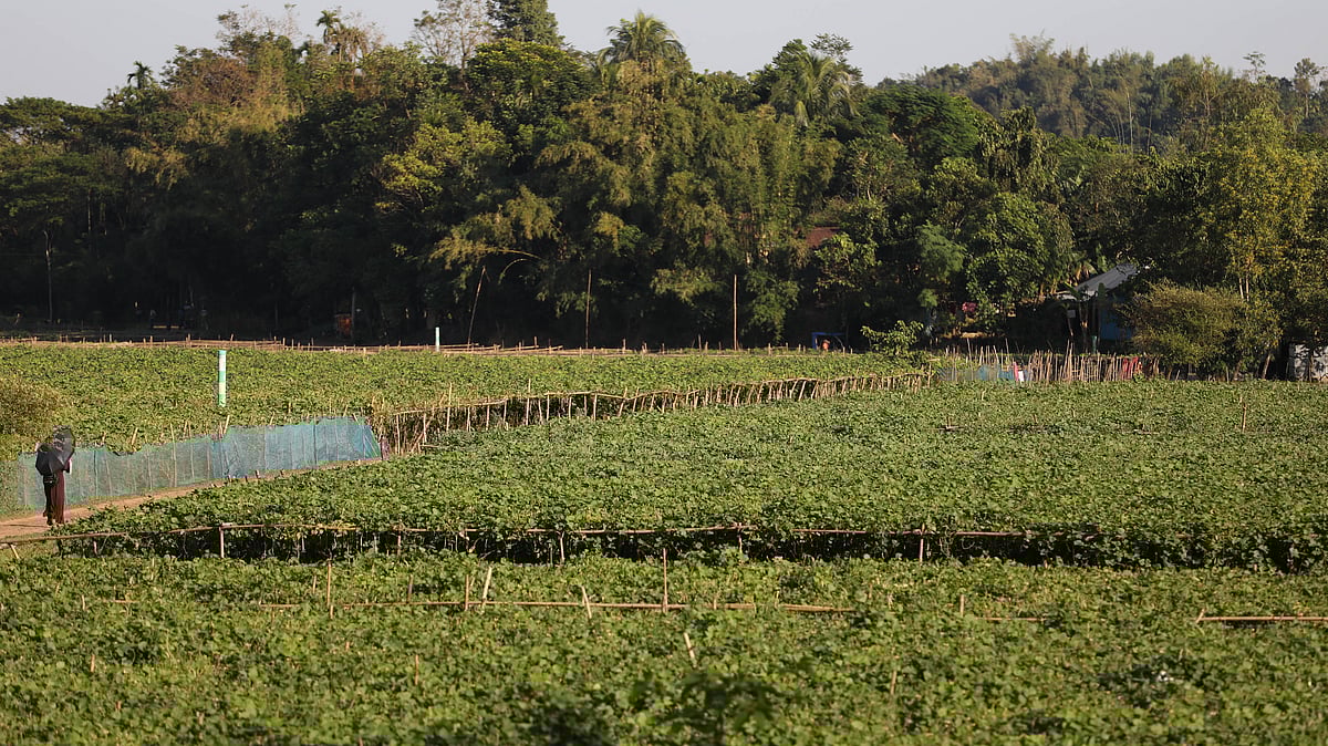 ছবি: আনিস মাহমুদ