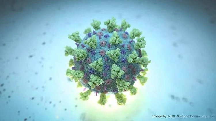 করোনাভাইরাস