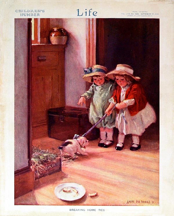 ছবি: উইকিমিডিয়া কমনস