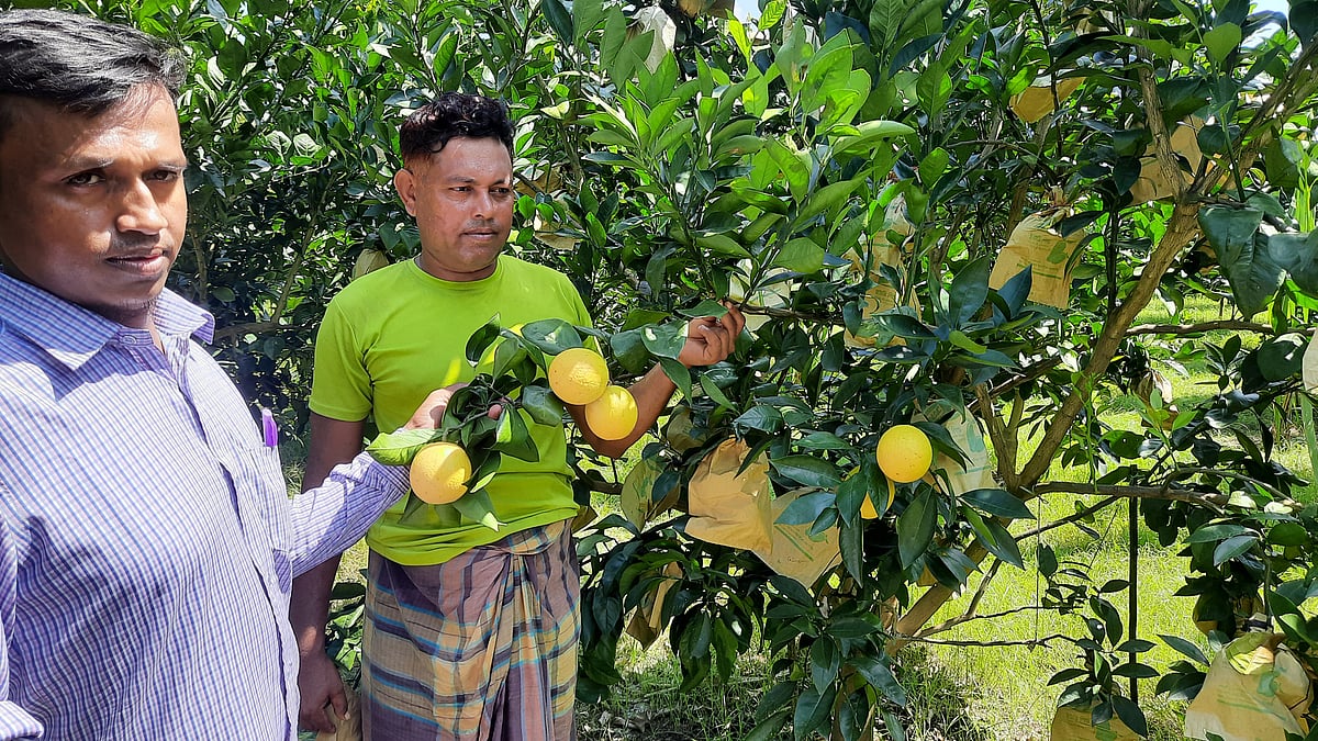 ছবি: প্রথম আলো