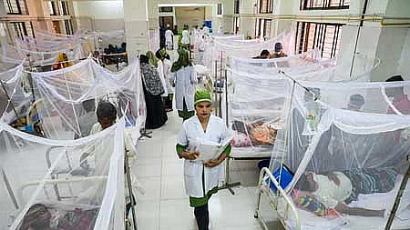 ফাইল ছবি: প্রথম আলো