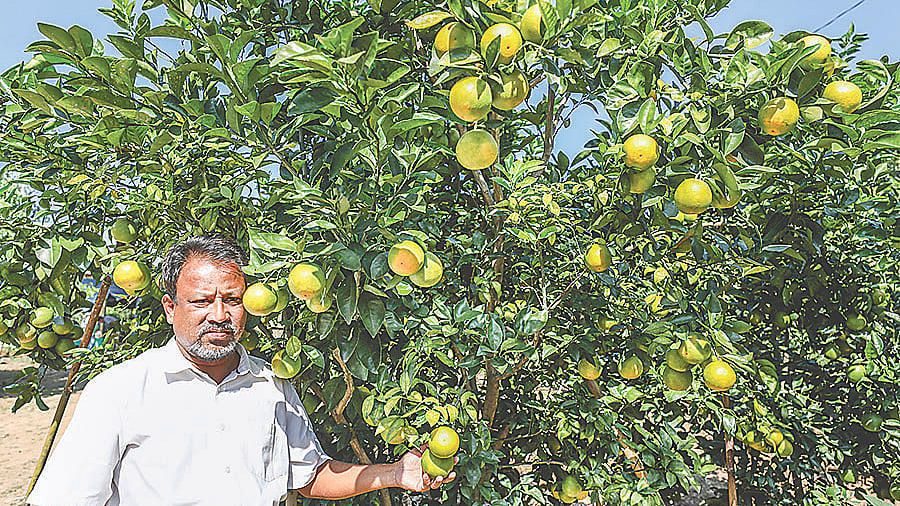ছবি: প্রথম আলো